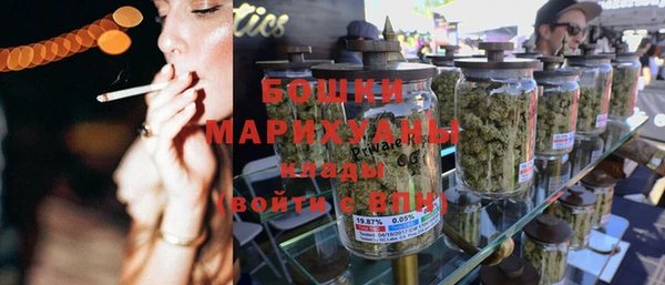 PSILOCYBIN Алзамай